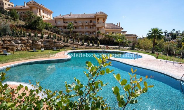 Apartament - Nowy budynek - Marbella - Nueva Andalucia