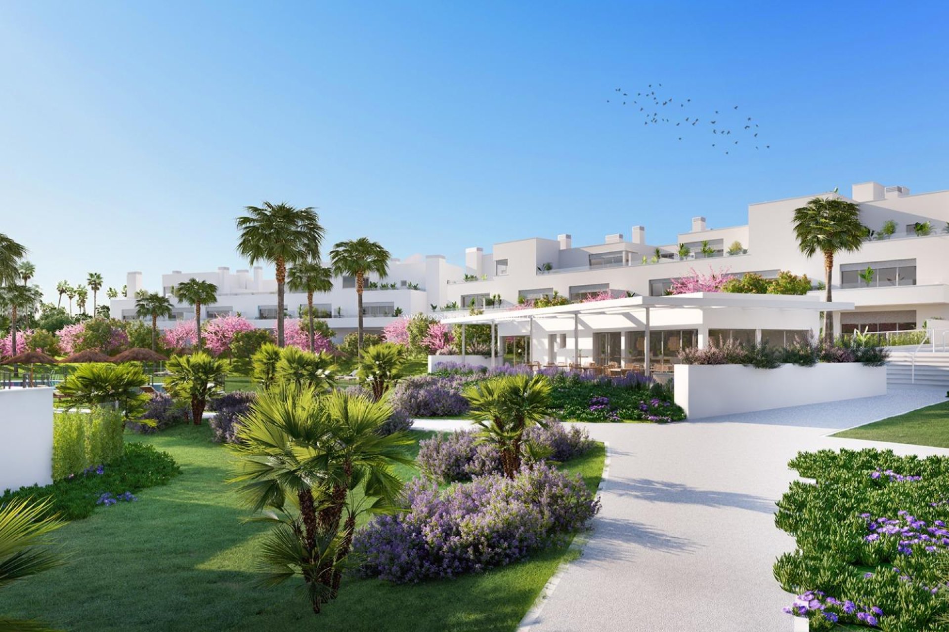 New Build - Apartment -
Estepona - Bel-air