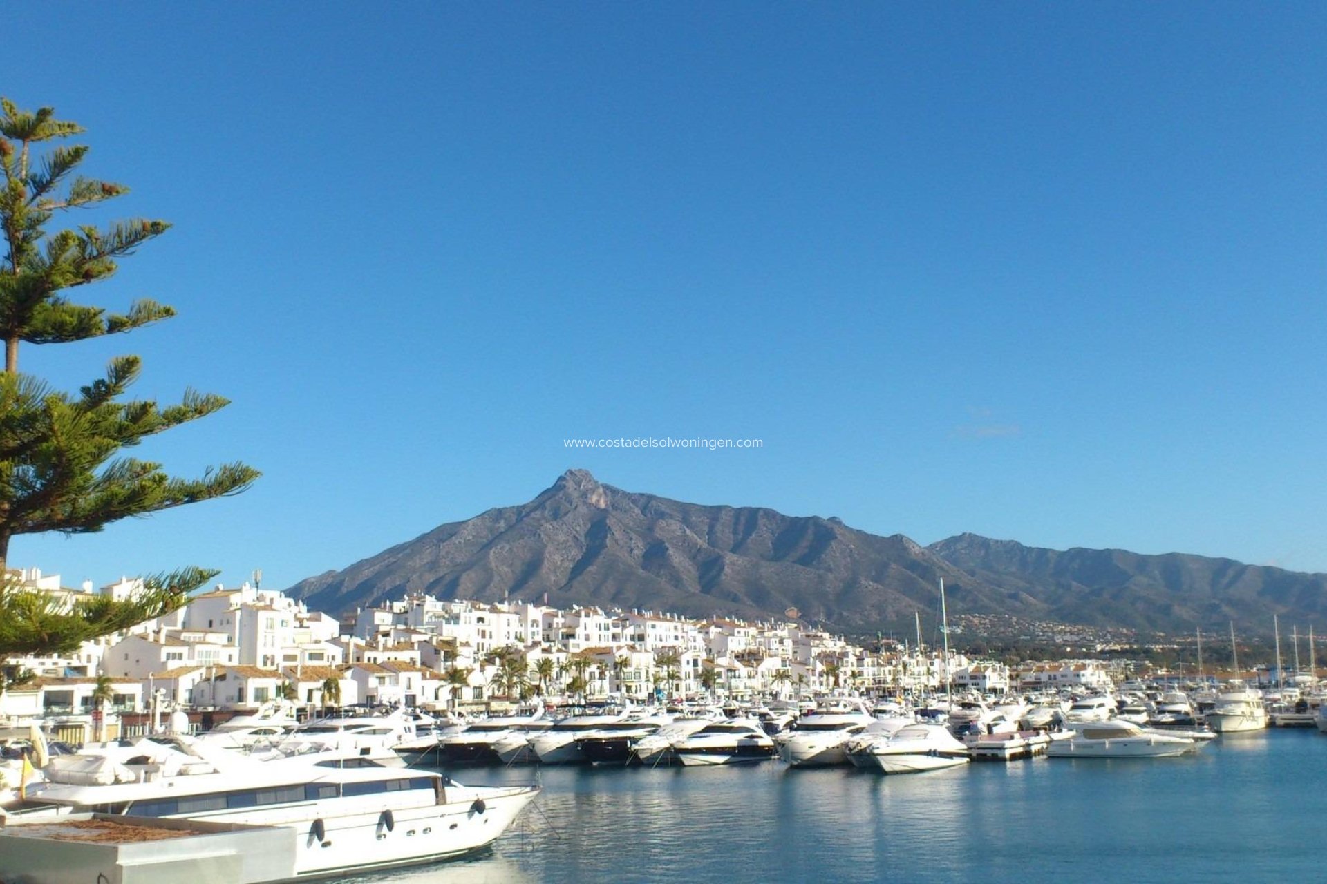 New Build - Apartment -
Marbella - Nueva Andalucia