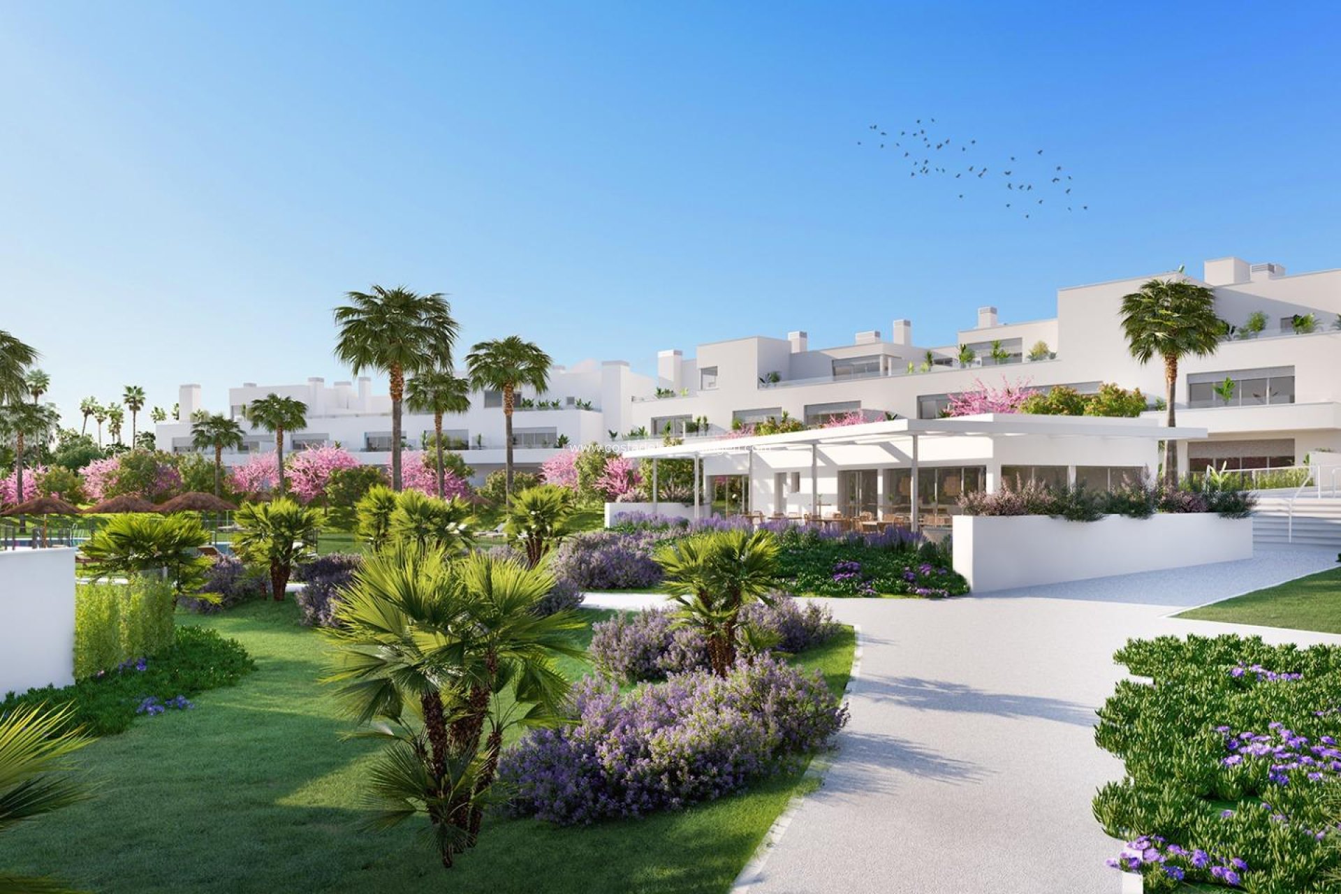 Nieuwbouw Woningen - Appartement -
Estepona - Riviera beach