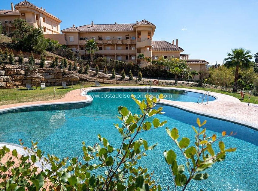 Nieuwbouw Woningen - Appartement -
Marbella - Nueva Andalucia