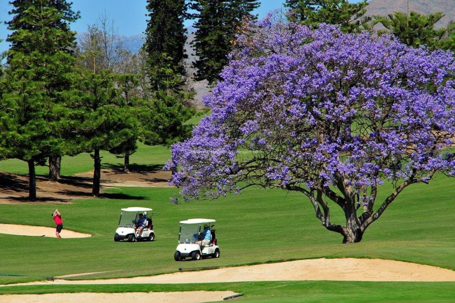 Nieuwbouw Woningen - Appartement -
Mijas - La Noria Golf
