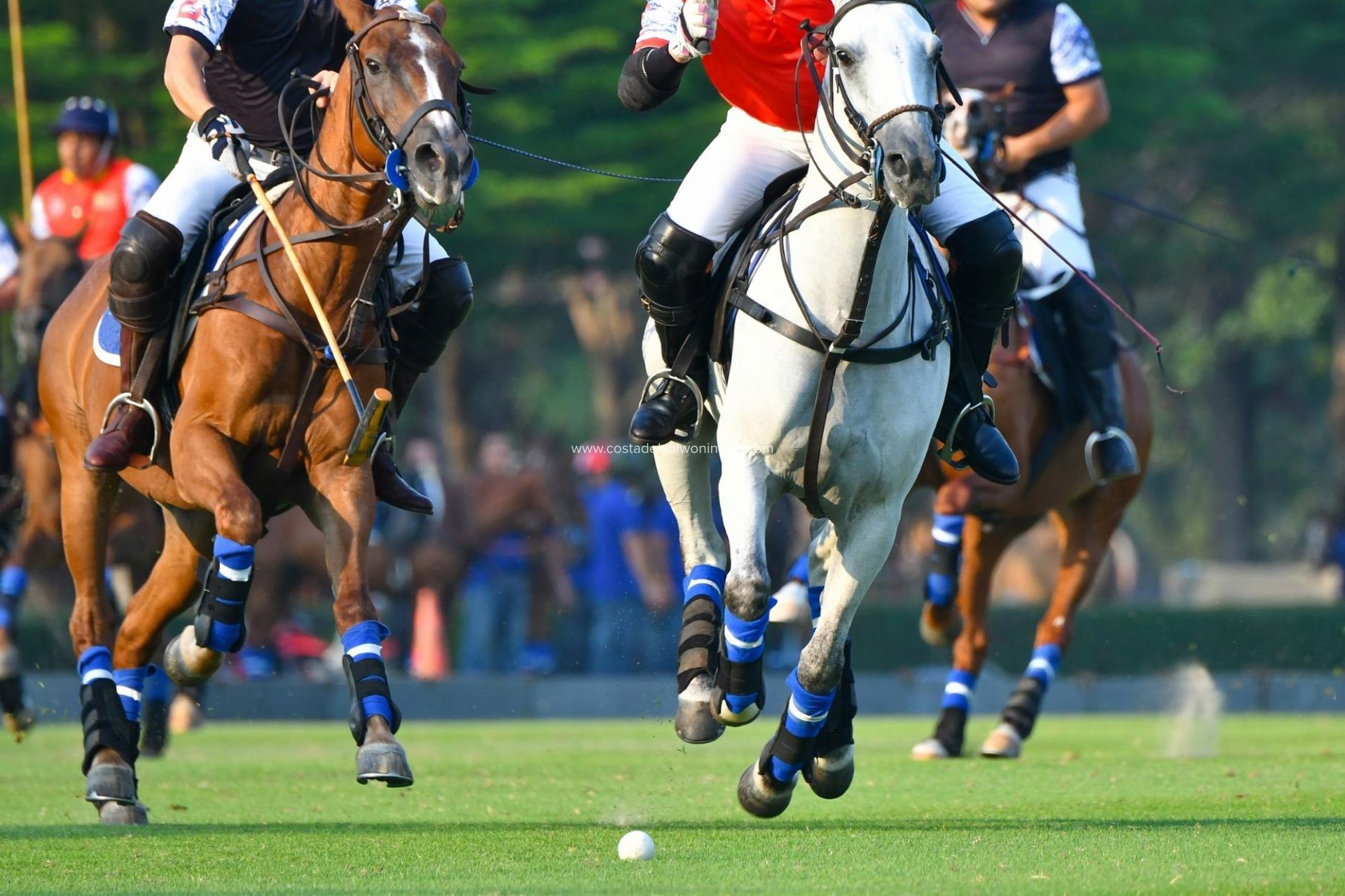 Nowy budynek - Apartament -
Manilva - Bahia De Las Rocas