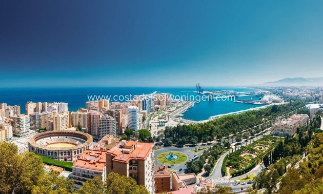 New Build - Apartment -
Málaga - Limonar-mayorazgo