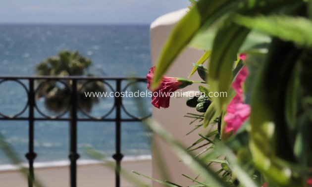 Nieuwbouw Woningen - Appartement -
Estepona - El Padron-el Velerin