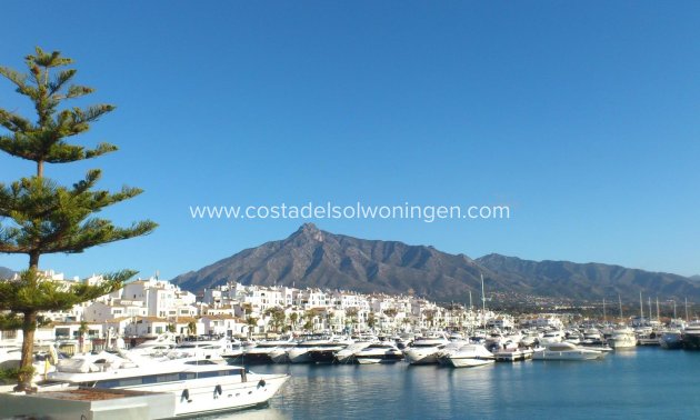 Nowy budynek - Apartament -
Marbella - Nueva Andalucia