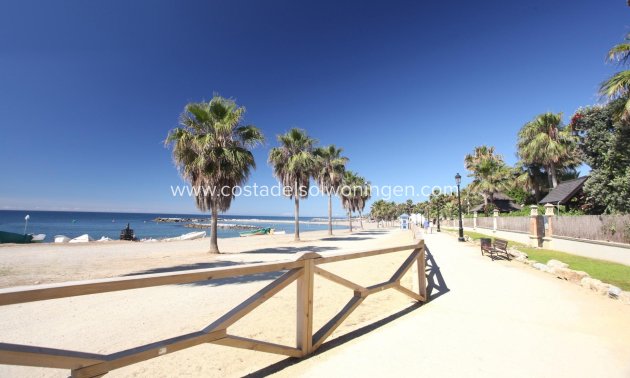New Build - Apartment -
Marbella - Nueva Andalucia