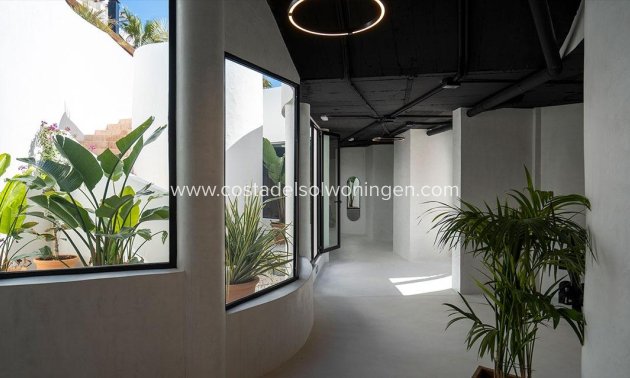 Nowy budynek - Apartament -
Marbella - Nueva Andalucia