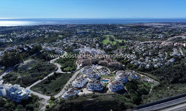 Nowy budynek - Apartament -
Marbella - Nueva Andalucia