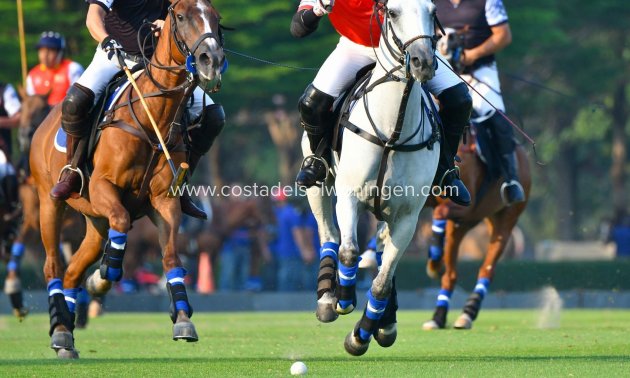 Nowy budynek - Apartament -
Manilva - Bahia De Las Rocas