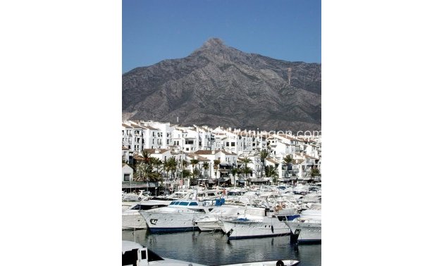 New Build - Apartment -
Marbella - La Cerquilla